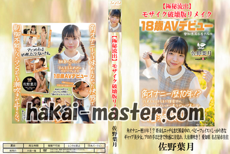 【極秘流出】佐野葉月 破壊版リメイク